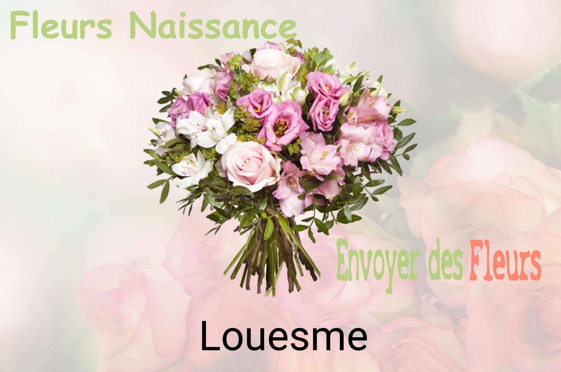 Bouquet de fleurs de naissance livré à Louesme